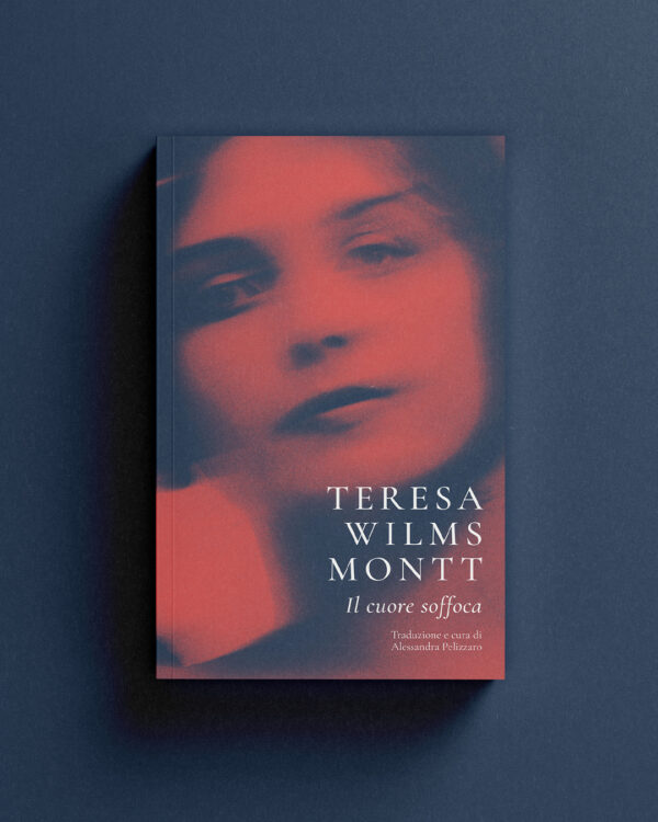 Teresa Wilms Montt, Storie Effimere, Il cuore soffoca, Inquietudini sentimentali, Diari